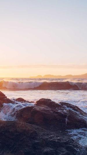 千站云蜘蛛池搭建教程截图3