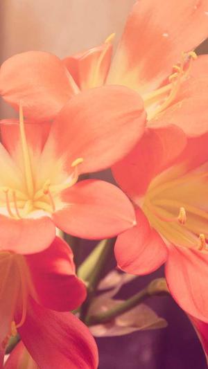 天津seo诊断截图3