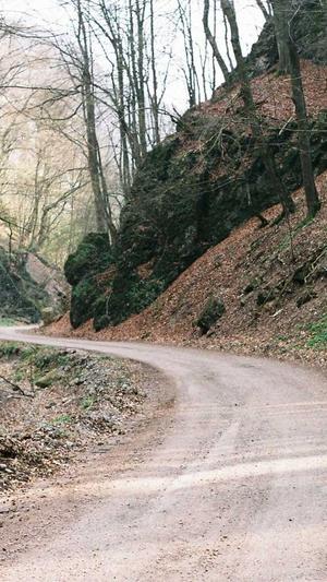 泛目录使用教程seo截图1