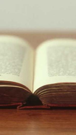 蜘蛛池的应用在哪截图1