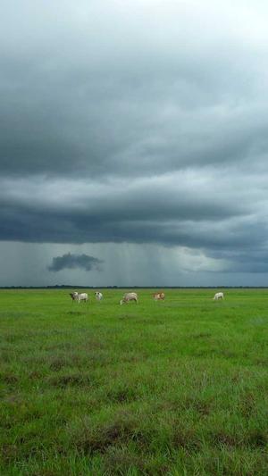 seo刷排名工具截图1