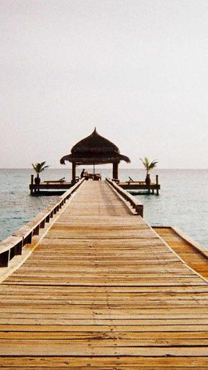 seo点击工具排名截图1