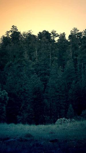 泉州seo博客信乐林截图2