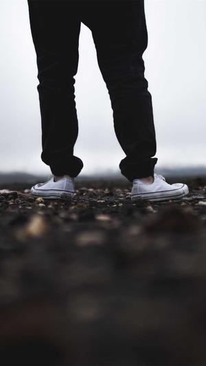 seo查询工具 站长截图4