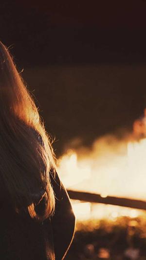 漳州网站建设截图2