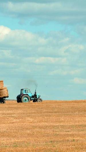 哪个网站建设公司截图3