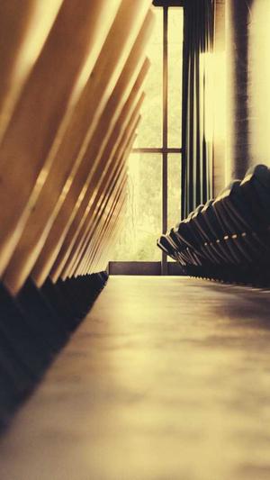 团队网站建设截图3