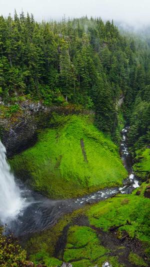 聚合泛目录v5站群作用截图3