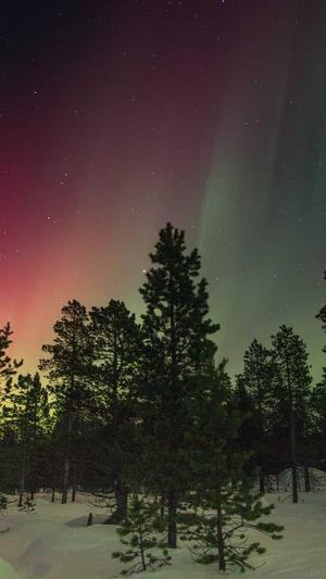 千站云蜘蛛池搭建教程截图1