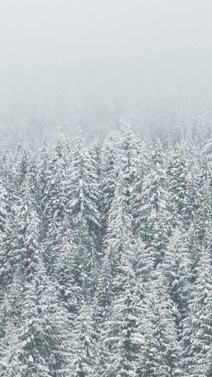 排名精灵SEO网站优化百度站长工具截图3