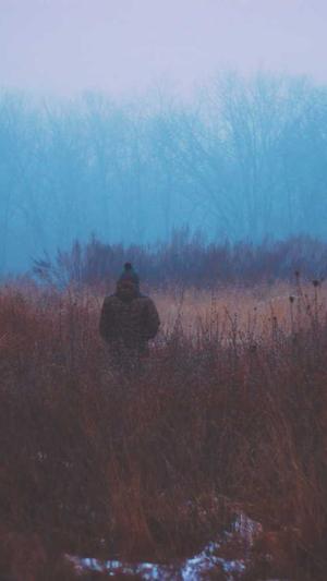 网站建设项目截图1