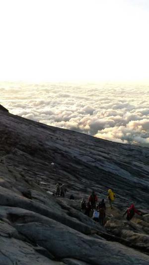 蜘蛛池 百家号截图5