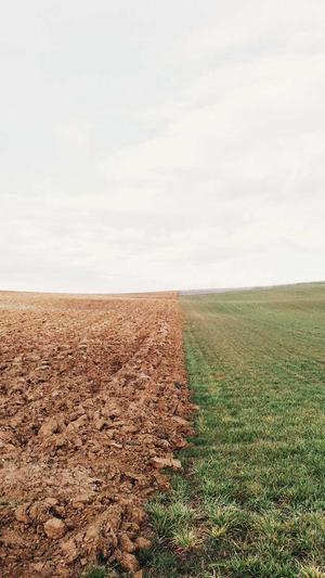 河北省建设厅网站截图1