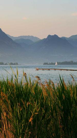 seo排名工具佳选截图3