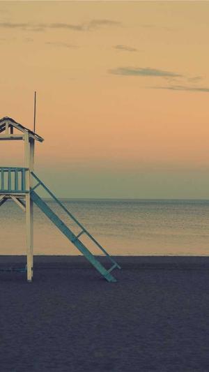 seo静态工具截图5