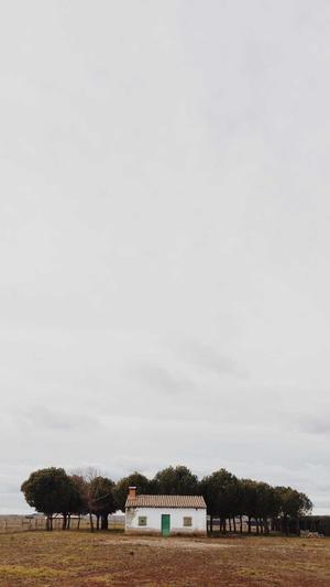 宁夏蜘蛛池租用服务截图1