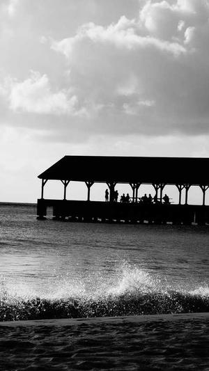 小旋风万能蜘蛛池设置截图3