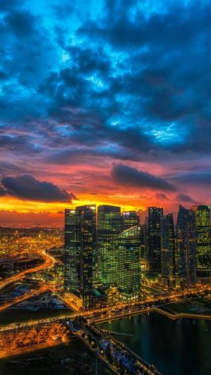 seo辅助工具截图1