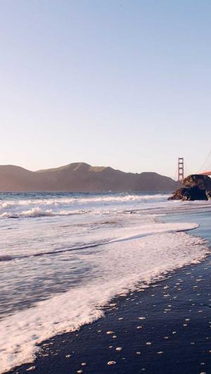 蜘蛛池的应用在哪截图4