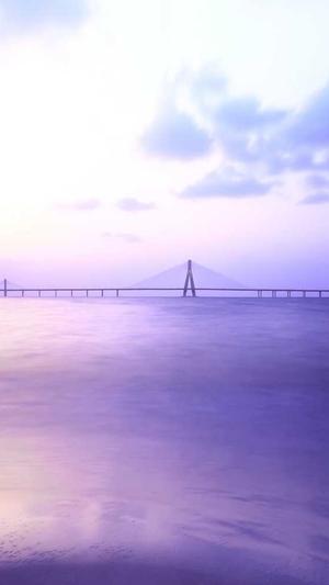 蜘蛛池软件好用截图4