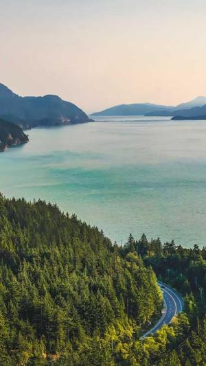 东营seo优化截图4