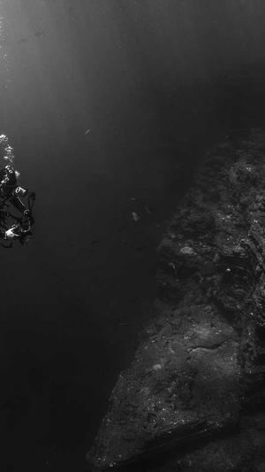 超级蜘蛛seo外链工具截图4