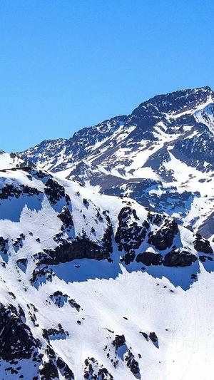 江西蜘蛛池出租服务截图5