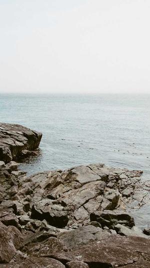 蜘蛛池租用推广排名截图1