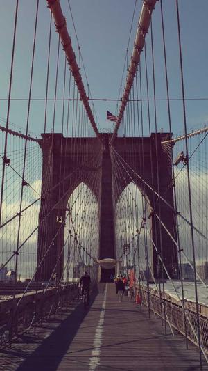 网站seo选刺盾云工具截图3