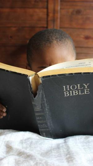 商洛网站建设截图2