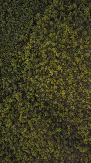 河北省建设厅网站截图4