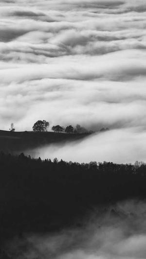 seo搜索引擎排名优化截图5