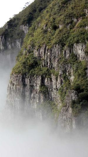 专业网站建设电话截图1